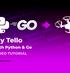 Fai volare il Tello con Python & Go